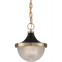 10 in. x 11 in. Pendant Fixture - Prismatic Glass - Brass Finish - Faro Collection - Uses (1) 60-Watt Max Incandescent or LED Bulb - Medium Base - 4 ft. Adjustable Chain - 120 Volt - Nuvo 60-7059