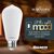 800 Lumens - 9 Watt - LED Edison Filament Bulb - Warm Dimming 3000 to 1800 Kelvin - 5.04 in. x 2.28 in. Thumbnail