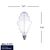 Natural Light - 4 Watt - 2200 Kelvin - LED Oversized Vintage Light Bulb - 15 in. x 8 in.  Thumbnail
