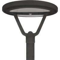 Solar Pathway Light - Motion Sensor - Dusk-to-Dawn - 2500 Lumens - Black Finish - 4000 Kelvin - 25 Watt – 160 Deg. Beam Angle - Light Efficient Design SL-CPT-25L-40K-BK-G1