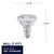 1200 Lumens - 15 Watt - 2700 Kelvin - LED PAR38 Lamp Thumbnail