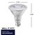 1200 Lumens - 15 Watt - 3000 Kelvin - LED PAR38 Lamp Thumbnail