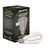 230 Lumens - 3 Watt - 2100 Kelvin - LED Edison Curved Filament Bulb - 5.0 in. x 2.3 in. Thumbnail