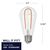 230 Lumens - 3 Watt - 2100 Kelvin - LED Edison Curved Filament Bulb - 5.0 in. x 2.3 in. Thumbnail