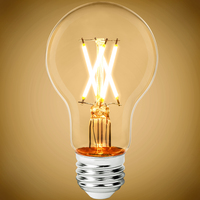 LED A19 5W FILAMENT 2400K