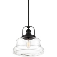 15 in. x 14 in. Pendant Fixture - Clear Glass - Bronze Finish - Basel Collection - Uses (1) Incandescent or LED Bulb - Medium Base - 12 ft. Wire - 120 Volt - Nuvo-60-6759