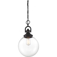 18 in. x 10 in. Pendant Fixture - Clear Glass - Bronze Finish - Skyloft Collection - Uses (1) Incandescent or LED Bulb - Medium Base - 4 ft. Adjustable Chain - 120 Volt - Nuvo 60-6673
