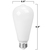 Natural Light - 450 Lumens - 5 Watt - 2400 Kelvin - LED Edison Bulb - 5.5 in. x 2.5 in. Thumbnail