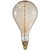 60 Watt Incandescent - Oversized Vintage Light Bulb - 12 in. x 7 in.  Thumbnail
