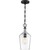 14 in. x 6.5 in. Pendant Fixture - Clear Glass - Black Finish Thumbnail