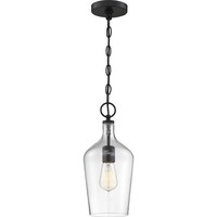 14 in. x 6.5 in. Pendant Fixture - Clear Glass - Black Finish - Hartley Collection - Uses (1)  Incandescent or LED Bulb - Medium Base - 4 ft. Adjustable Chain - 120 Volt - Nuvo 60-6749