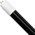 4 ft. LED T8 Tube - Black Light Blue - 12 Watt - Type B - Operates Without Ballast Thumbnail