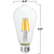 450 Lumens - 5 Watt - 3000 Kelvin - LED Edison Filament Bulb - 5.5 in. x 2.5 in. Thumbnail