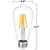 450 Lumens - 5 Watt - 2700 Kelvin - LED Edison Filament Bulb - 5.1 in. x 2.3 in. Thumbnail